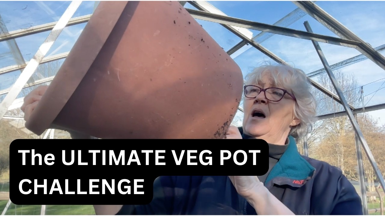 Small space - BIG HARVEST - grow your own food with me