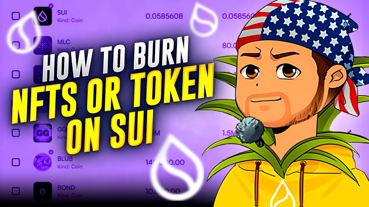 How To Remove Scam Tokens & NFTs From Sui Network: 3 Easy Steps To Clean Your Wallet