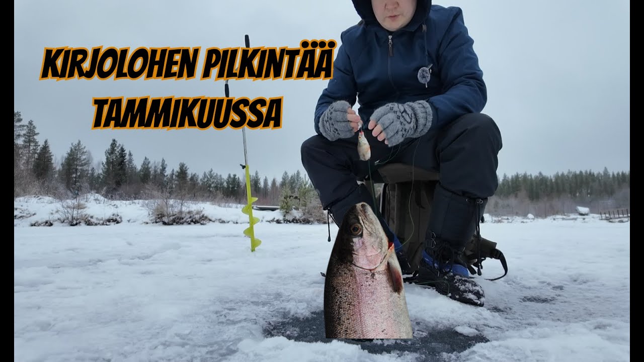 Kirjolohipilkillä Kaustisella