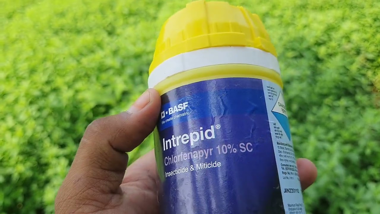intrepid इन्ट्रापेड insecticide & miticide #basf#intripid #insecticides #chilli #mitiside