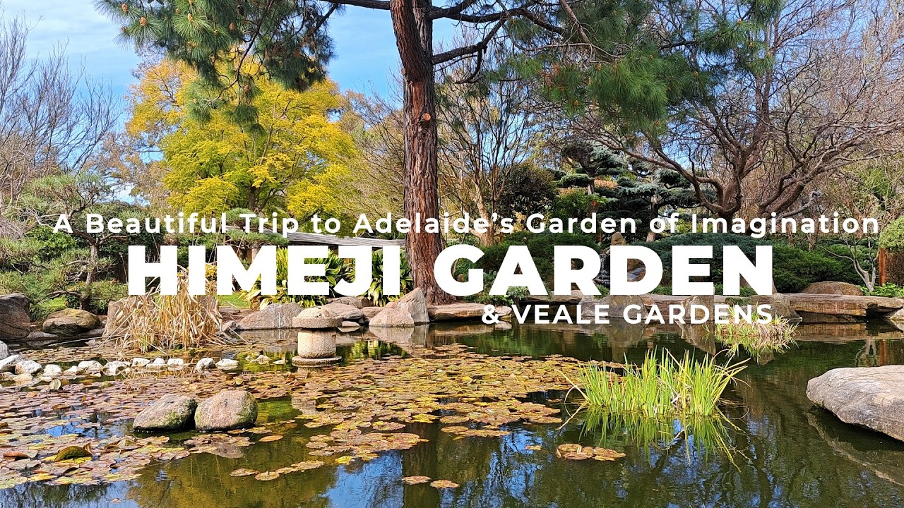 Adelaide’s Garden of Imagination | A Beautiful Trip to Himeji Garden and Veale Gardens | TRAVEL VLOG