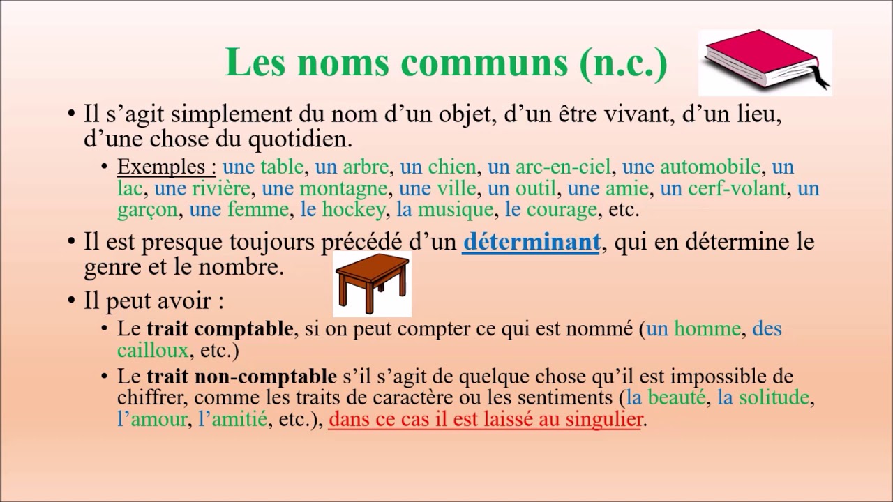 Classes de mots I : les noms