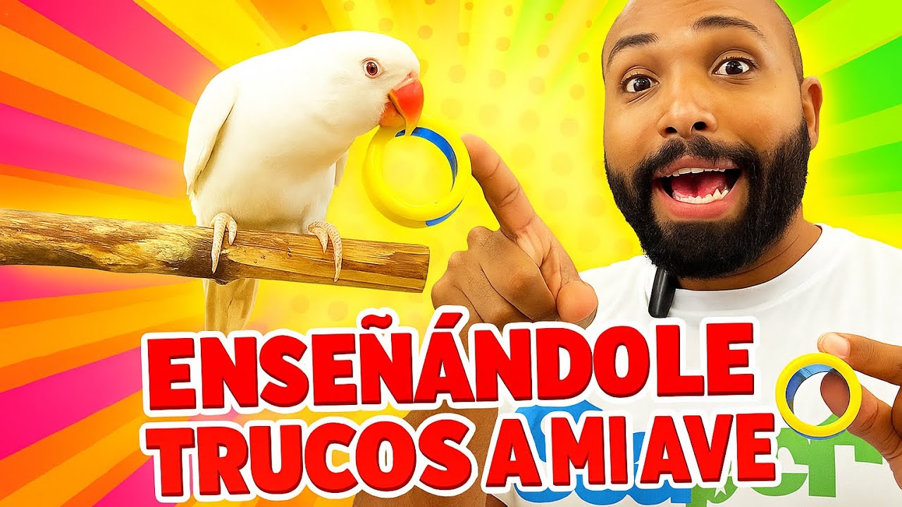 🤯 ¡No creerás lo inteligente que es mi cotorra de Kramer! 