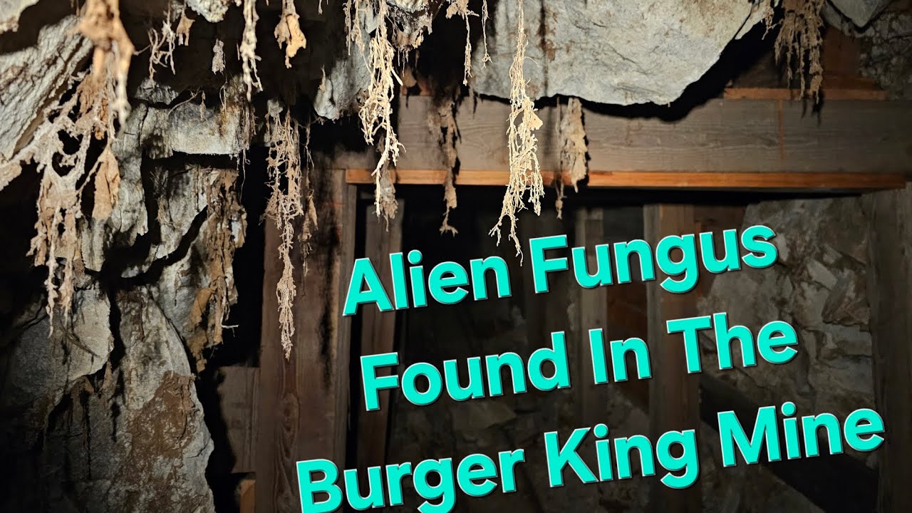 Tonopahs Burger King Arsenic/Silver Mine & It's Alien Mold 