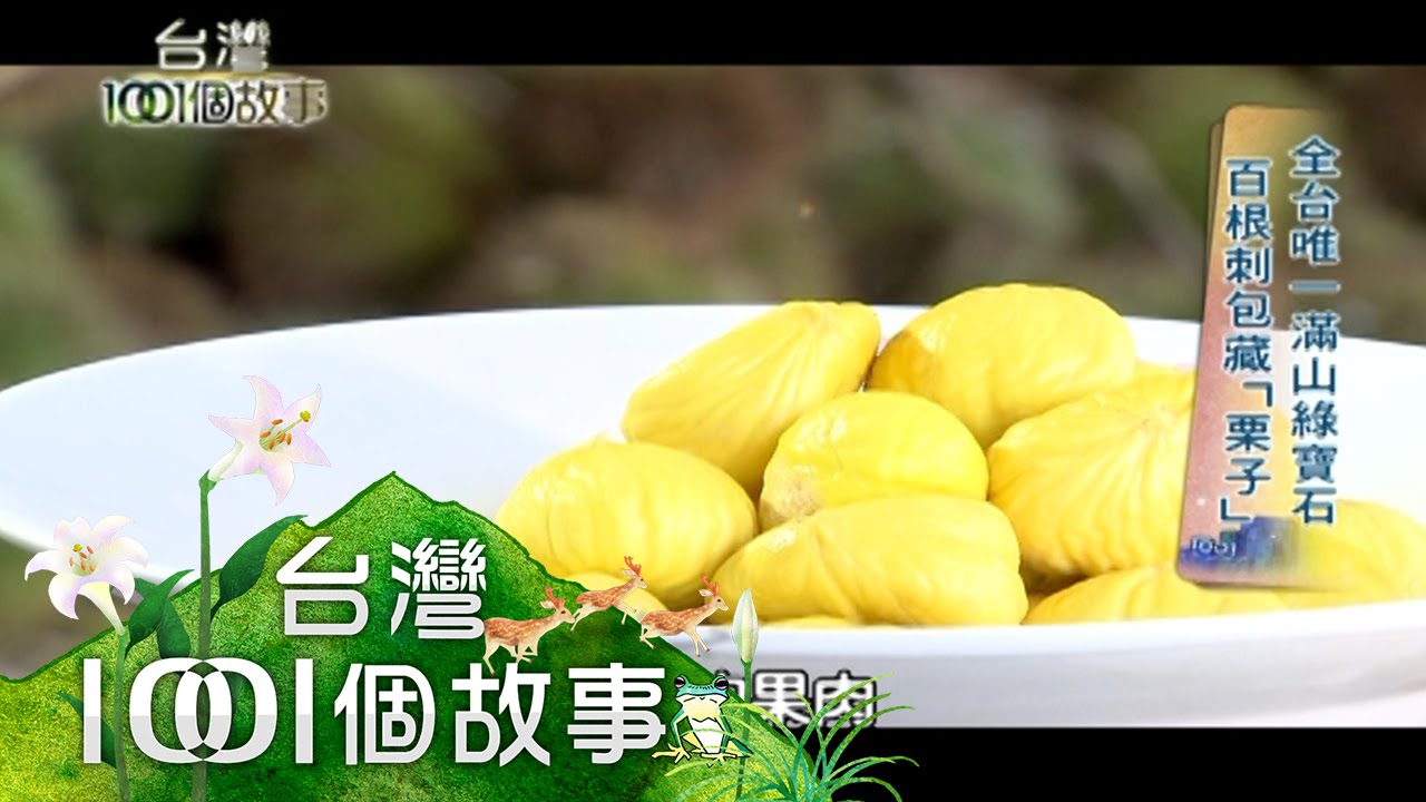 林家種栗百年歷史 創造「金光閃閃」板栗 第149集 part1【台灣1001個故事】2012年