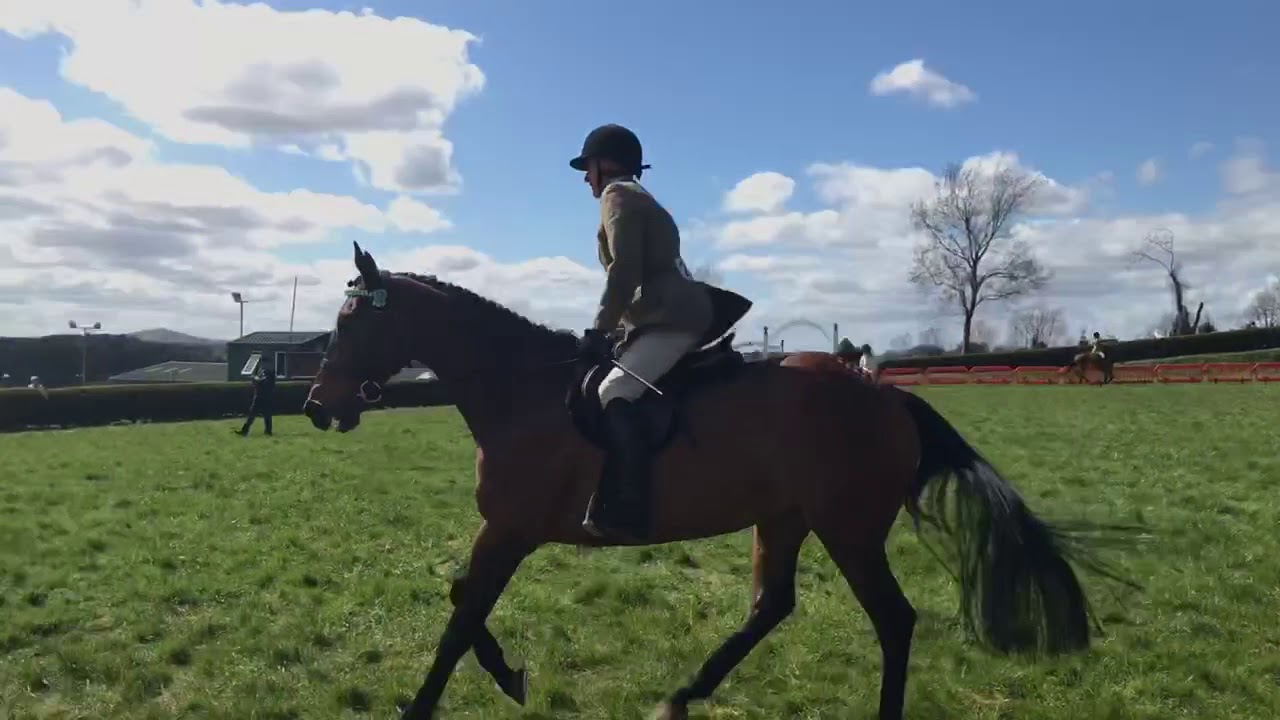 Northern Ireland Festival - 20th April 2018 - Open Racehorse to Ridinghorse