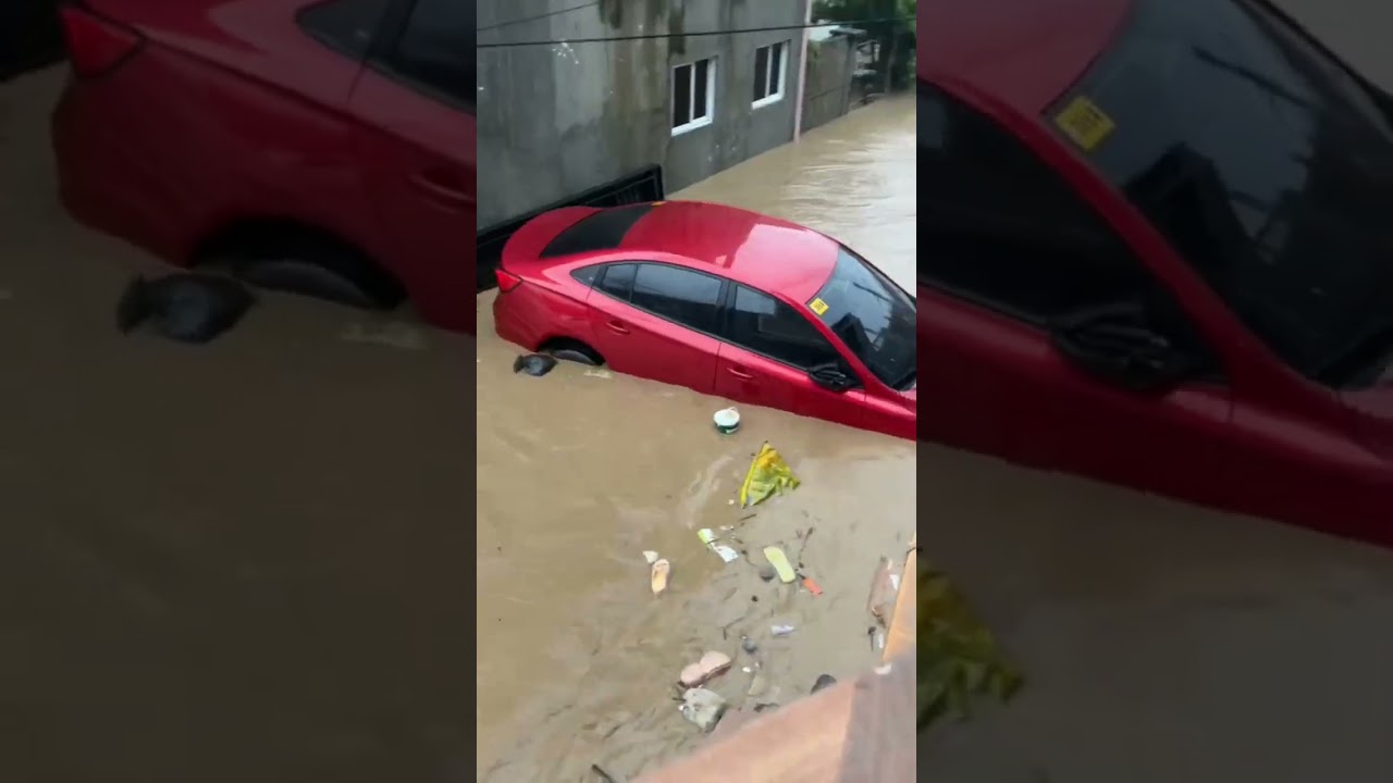 Can you Survive This Massive Floods #viral #trending #floods #flood #disaster #nature