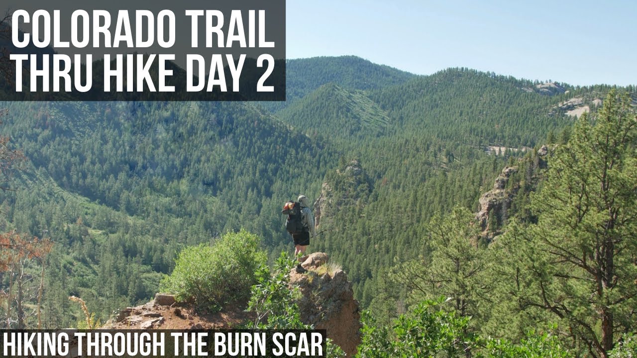 Colorado Trail Thru Hike Day 2 | Hiking through the Burn Scar