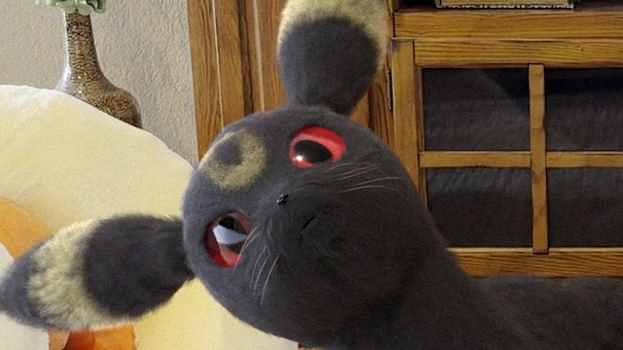 Which Umbreon is real? Help me!
