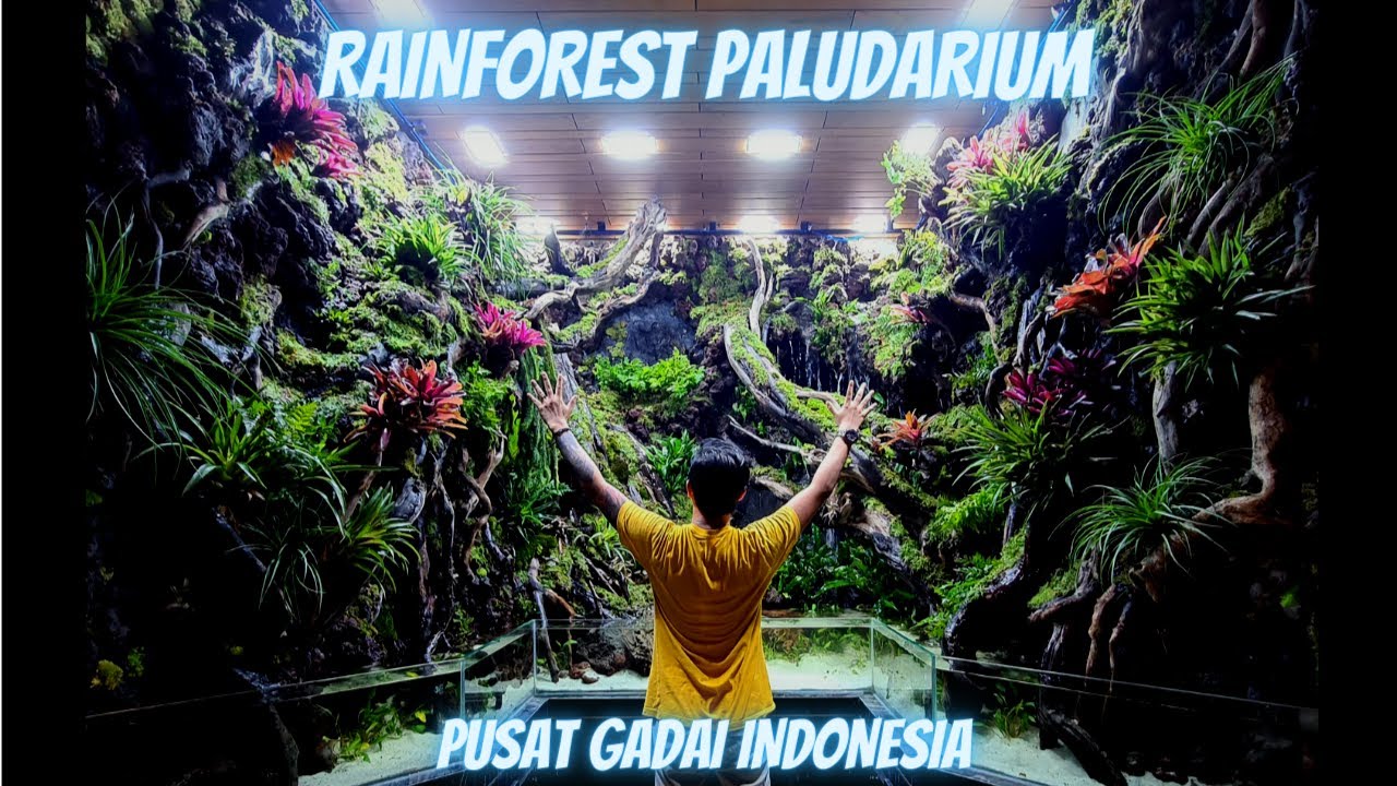 RAINFOREST PALUDARIUM DI PUSAT GADAI INDONESIA TELAH SELESAI !!!!!!!