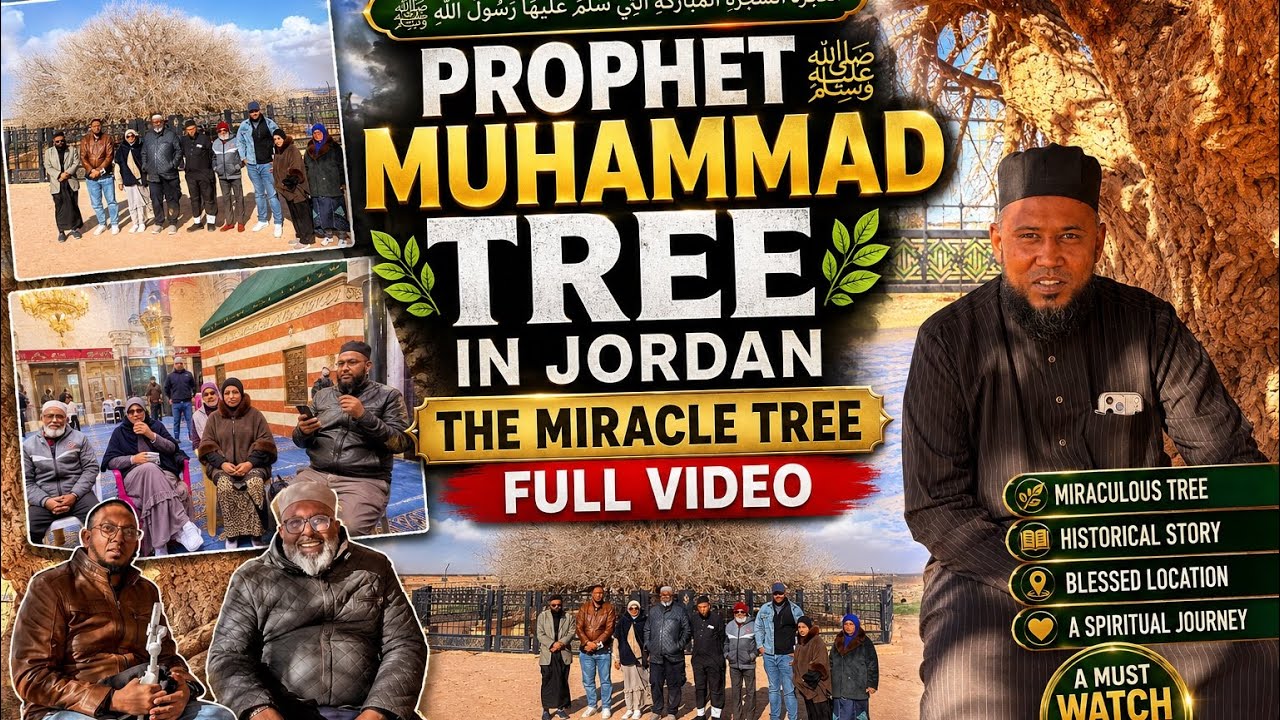 Prophet Muhammad SAW Tree In Jordan. The miracle Tree Full Video #qicmauritius 