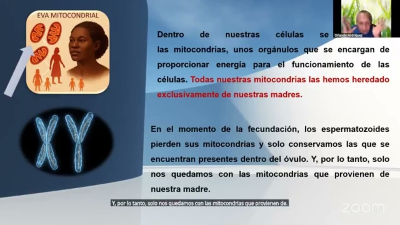 INTELIGENCIA EMOCIONAL DR ORLANDO RODRIGUEZ