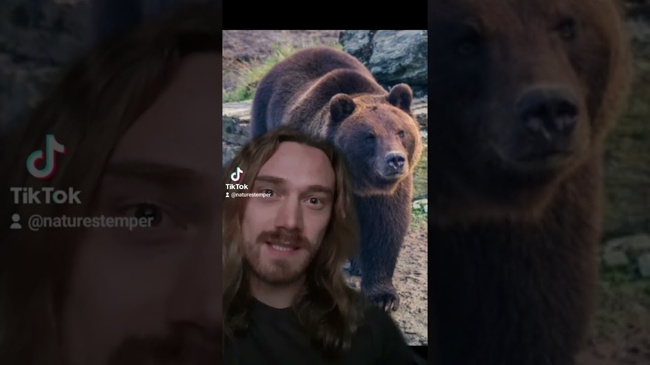 Choose 2 Animals to Protect You