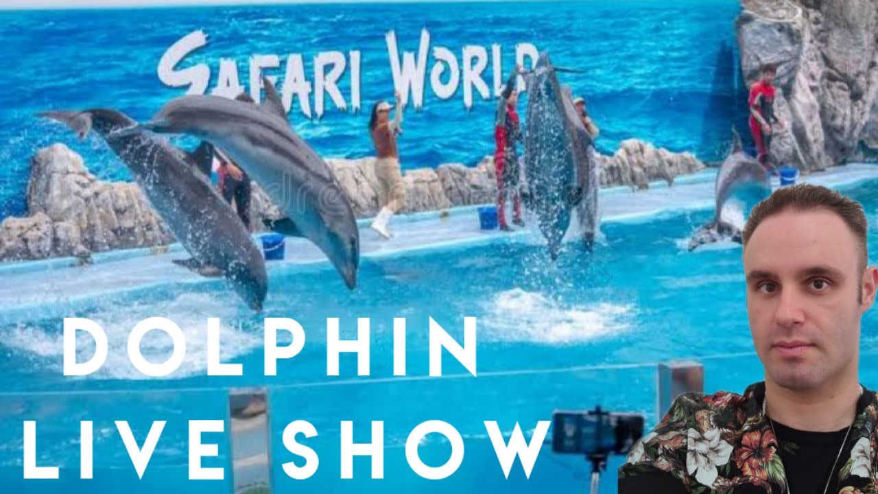 🇹🇭SAFARI WORLD / DOLPHIN SHOW / BANGKOK THAILAND / R&G DAVIDE OFFICIAL