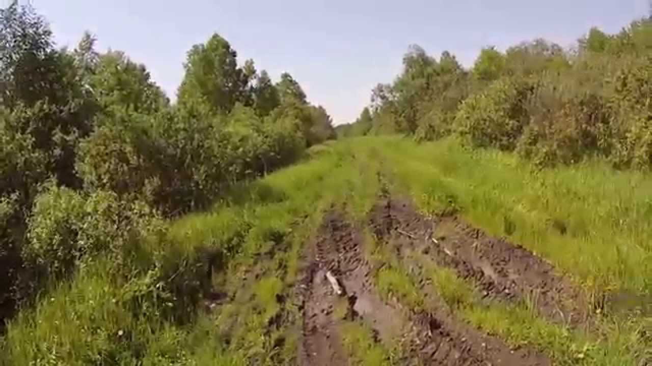 Дорога Окунево-Танатово на Yamaha XT 250 Serow