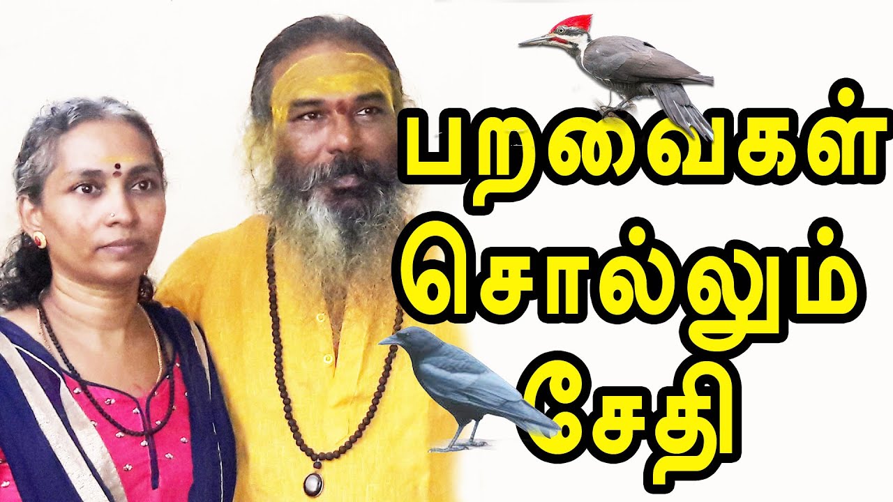பறவைகள் சொல்லும் சேதி | yaanan speech | @channelartindia