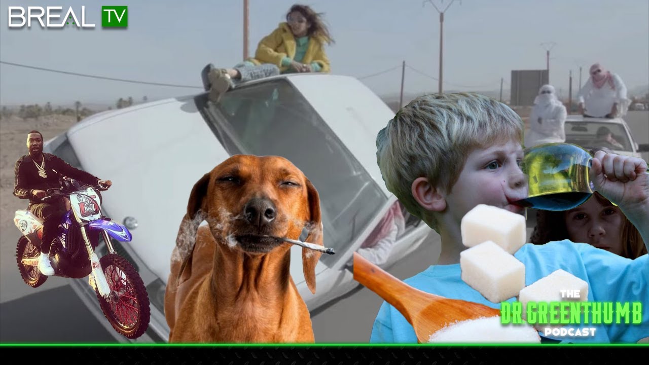 The Dr. Greenthumb Podcast #216 | Yoo-Hoo Drink, Dogs & Beer Driving In The Middle East + More