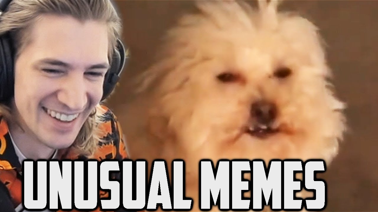 xQc Reacts to UNUSUAL MEMES COMPILATION V125