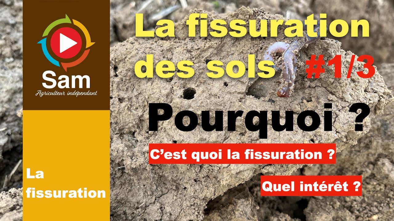 La fissuration #1 Pourquoi ? Qu'est ce que la fissuration ? Labour, pseudo labour, fissuration ?