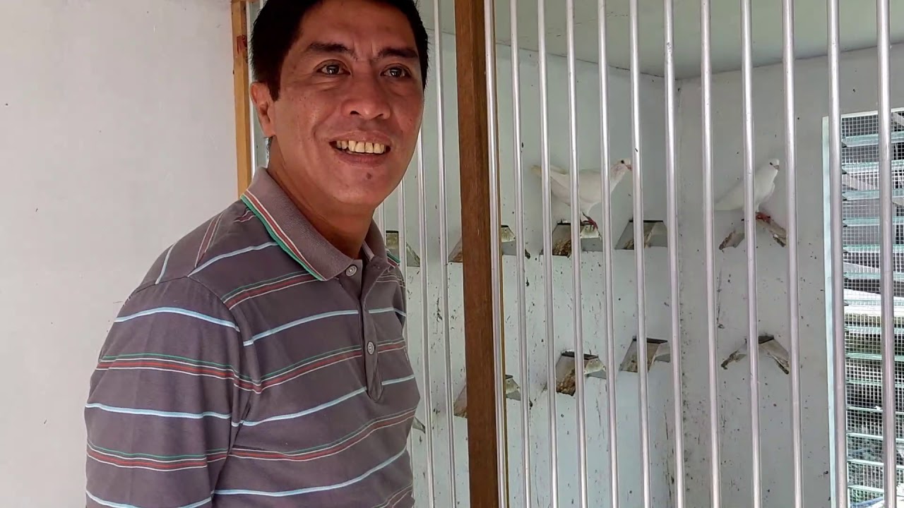 PIGEON loft visit VICENTE NGO GRAND EYE BALL EGGCEPTIONAL FARM STO. TOMAS BATANGAS