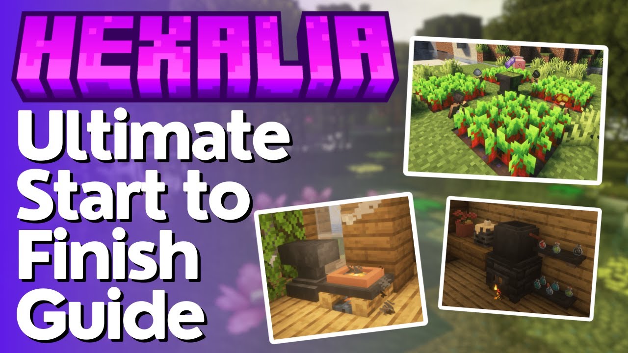The Ultimate Guide to Hexalia