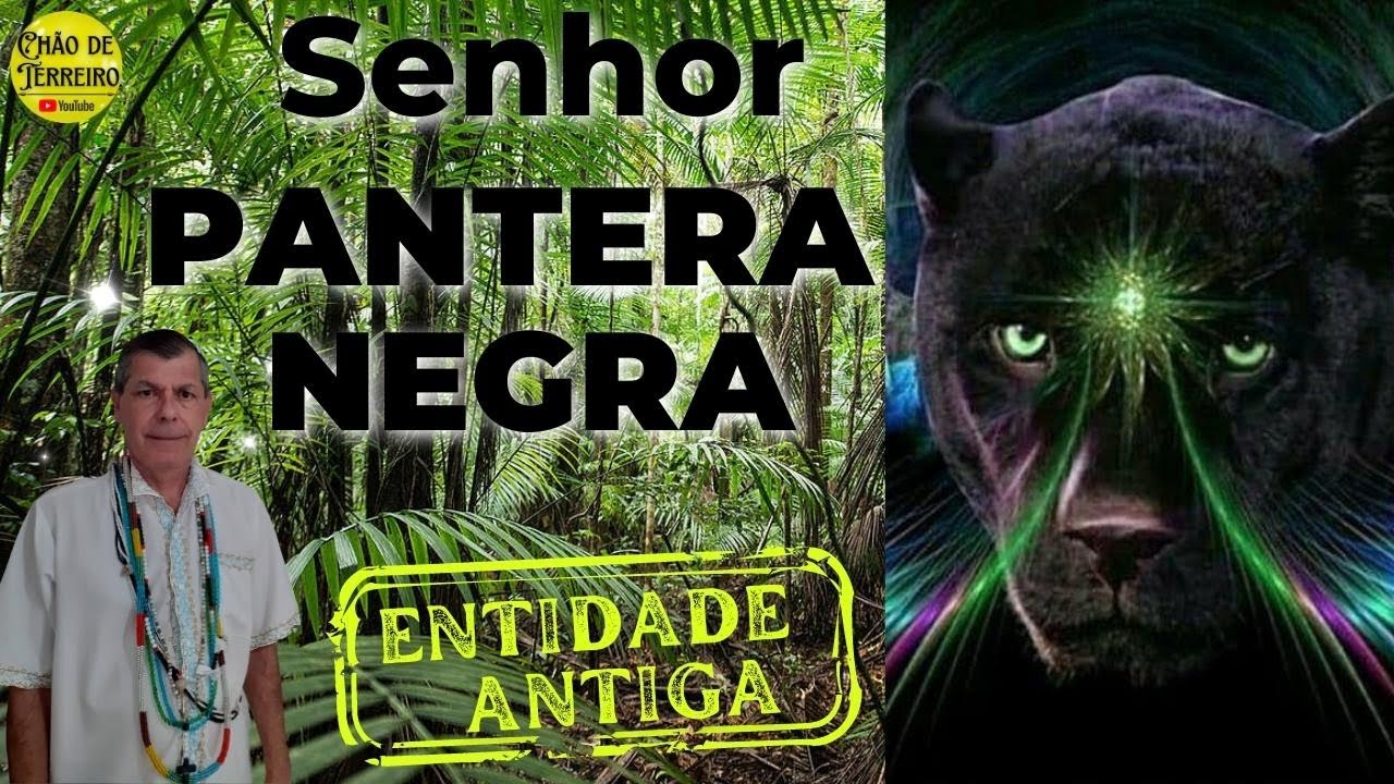 Sr.  Pantera Negra | Entidade Antiga.