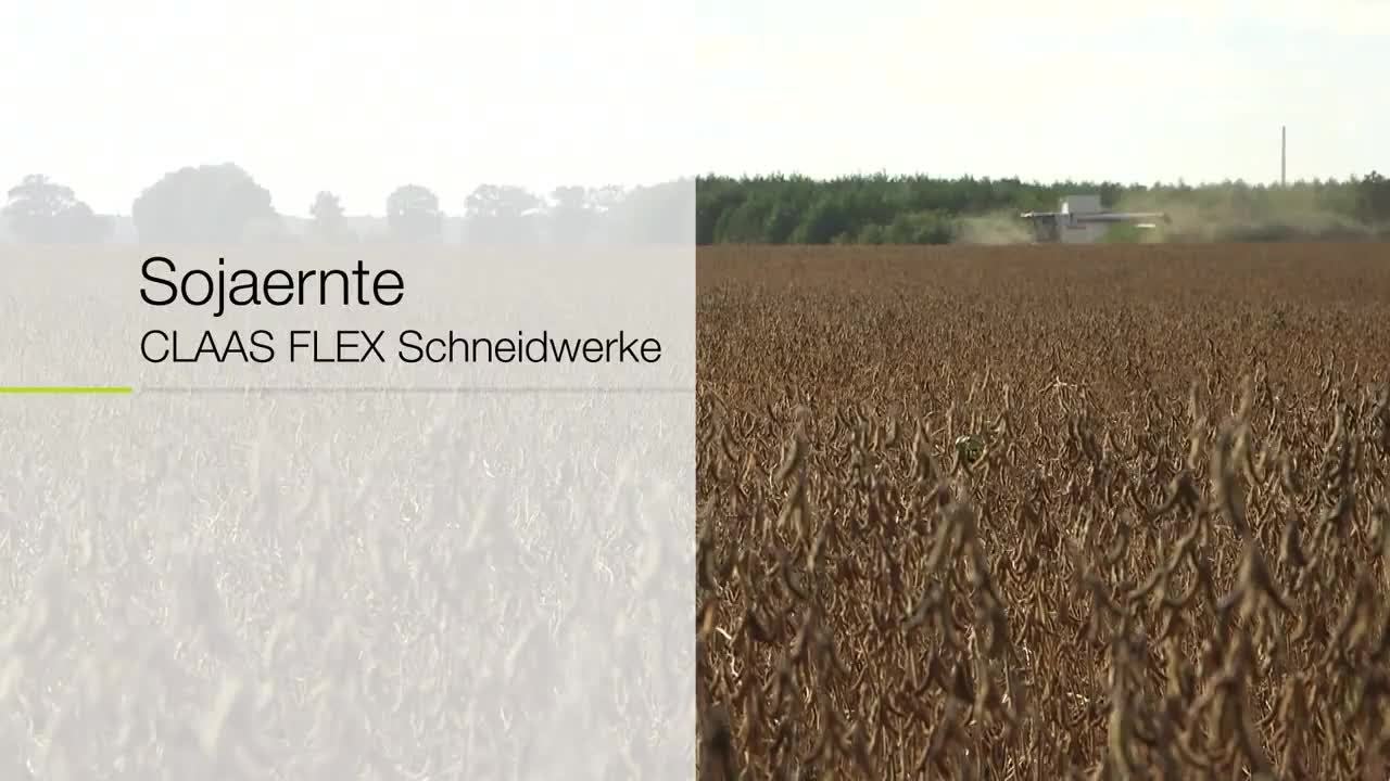 CLAAS FLEX Schneidwerke. Sojaernte.