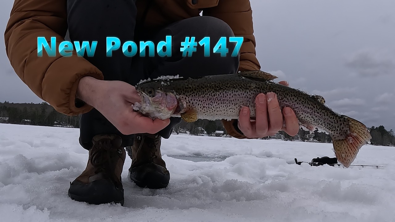 New Pond # 147