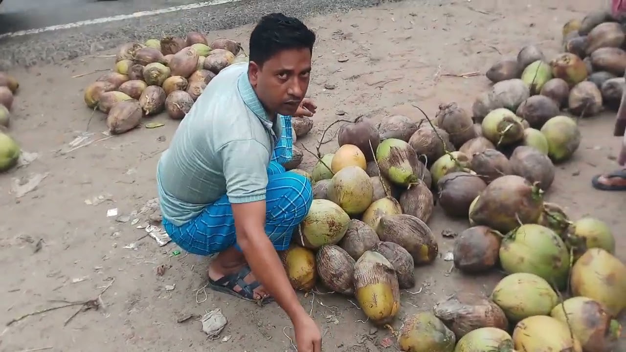 চুলকাটি, বাগেরহাটের নারকেলের হাট। ভিডিও : তরফদার মুক্তাদির
