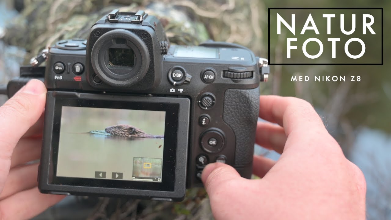 Naturfoto med Nikon Z8