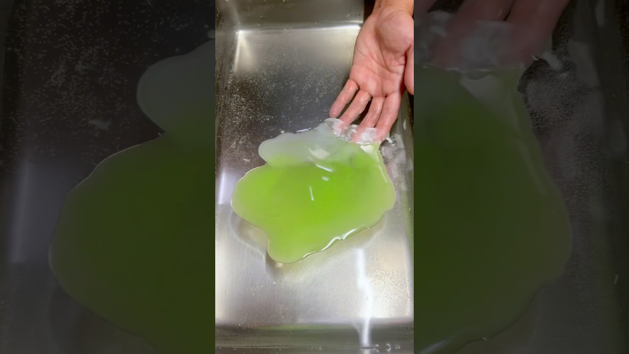 Fake food Lettuce! Food Sample