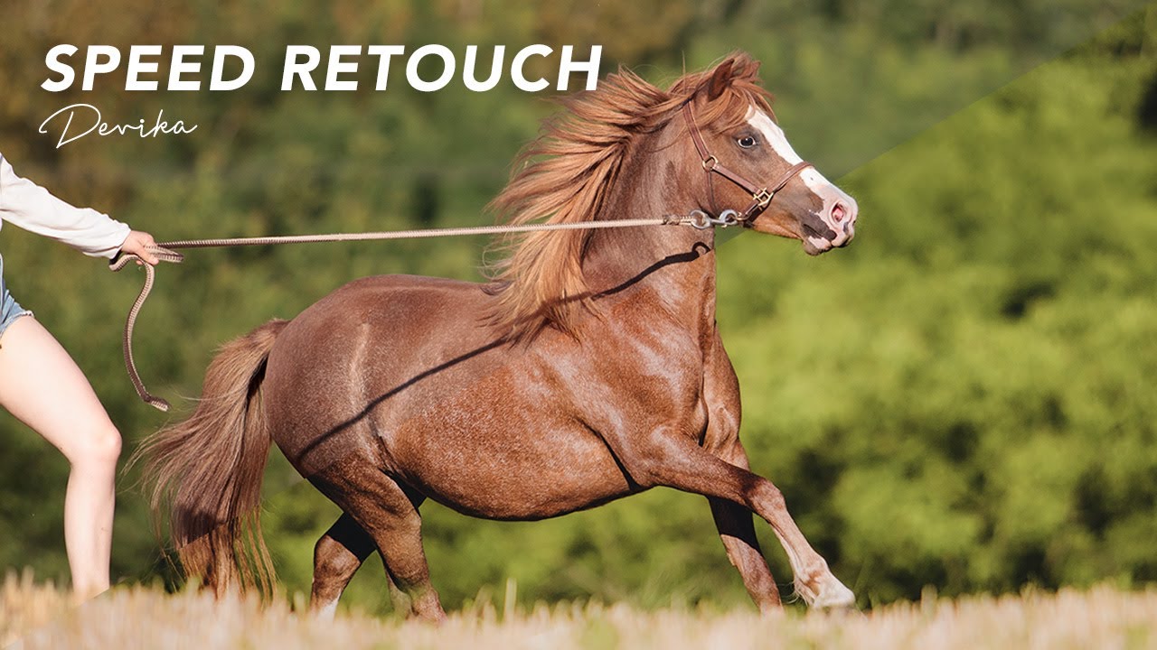 SPEED RETOUCH | Devika #equinephotography