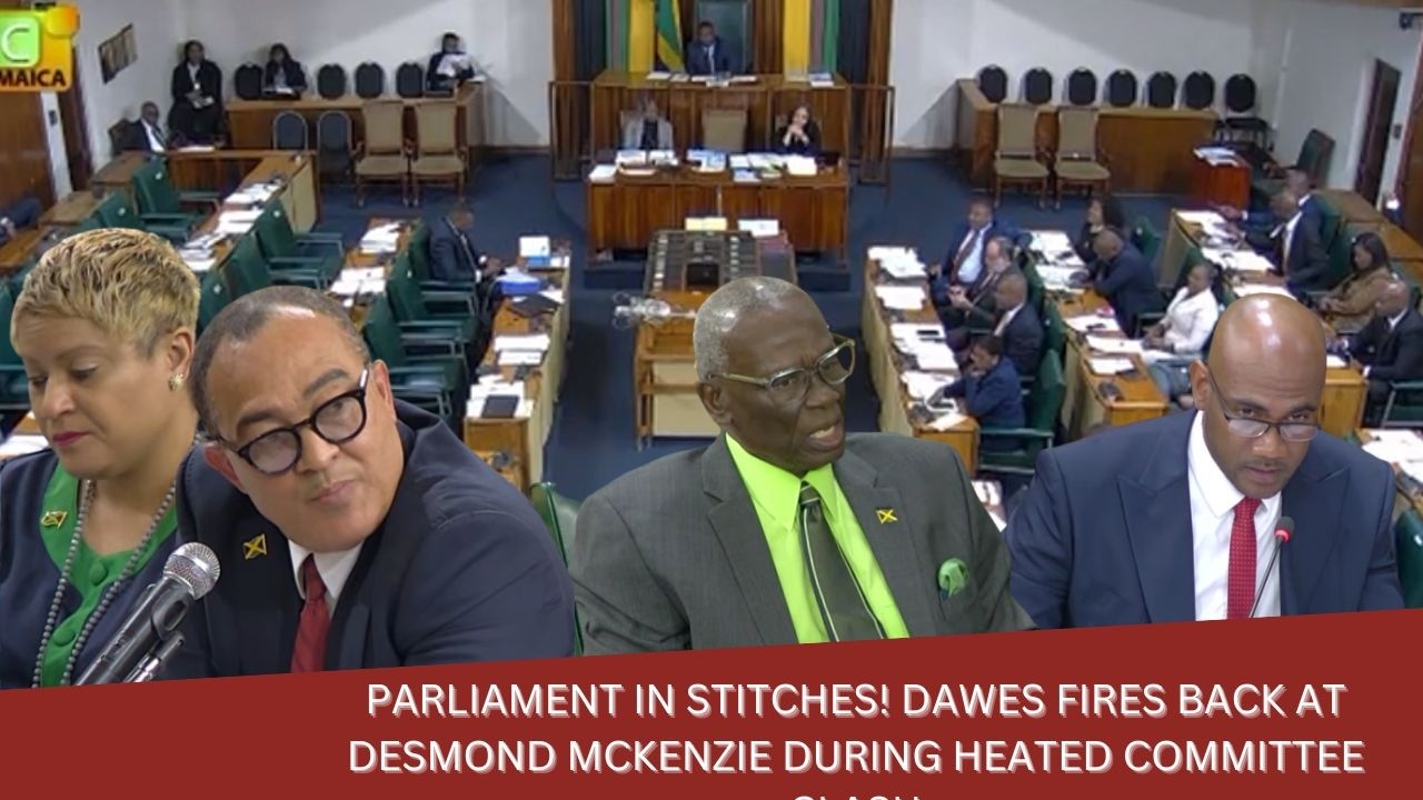 Grandpa Moment In Parliament! Dawes Tells Desmond McKenzie Go Home To His Grandchildren