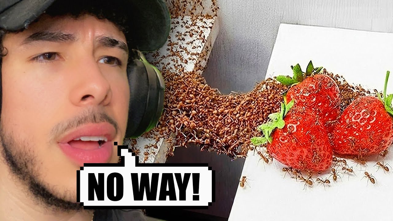 1,000 Ants vs Obstacles is Cinema