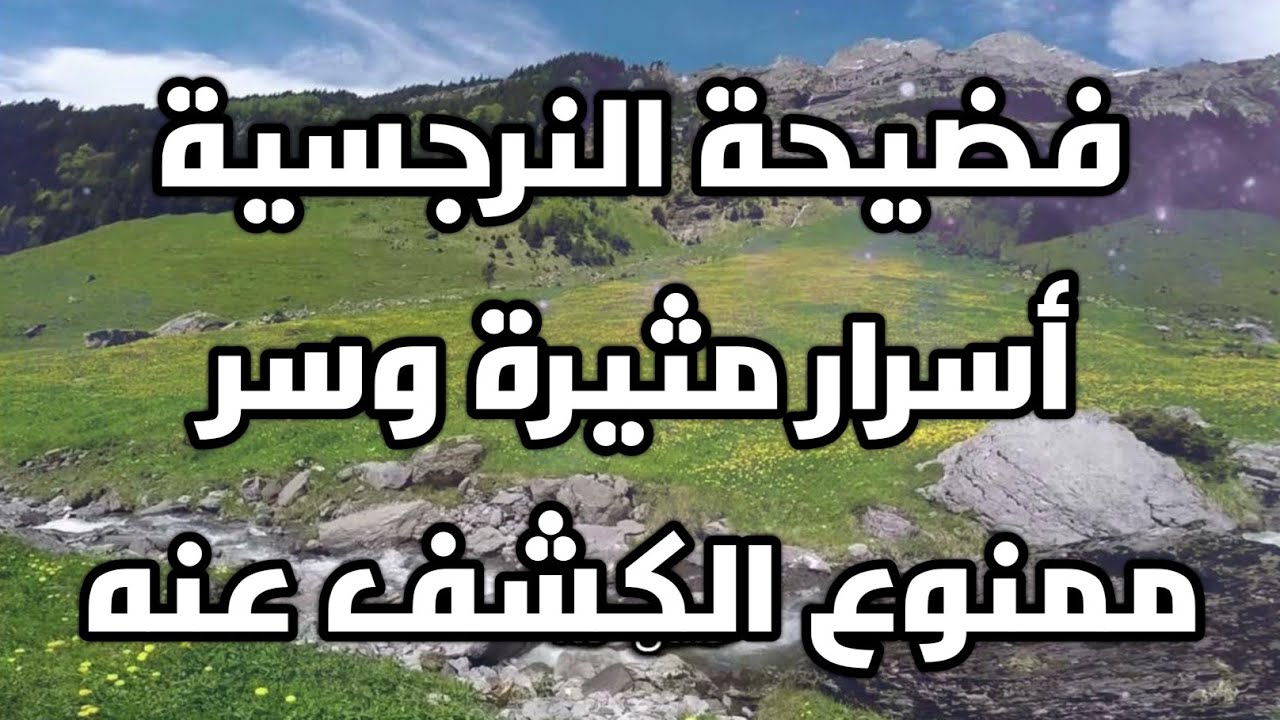 فضيحة النرجسية أسرار مثيرة وسر ممنوع الكشف عنه جحيم النرجسية
