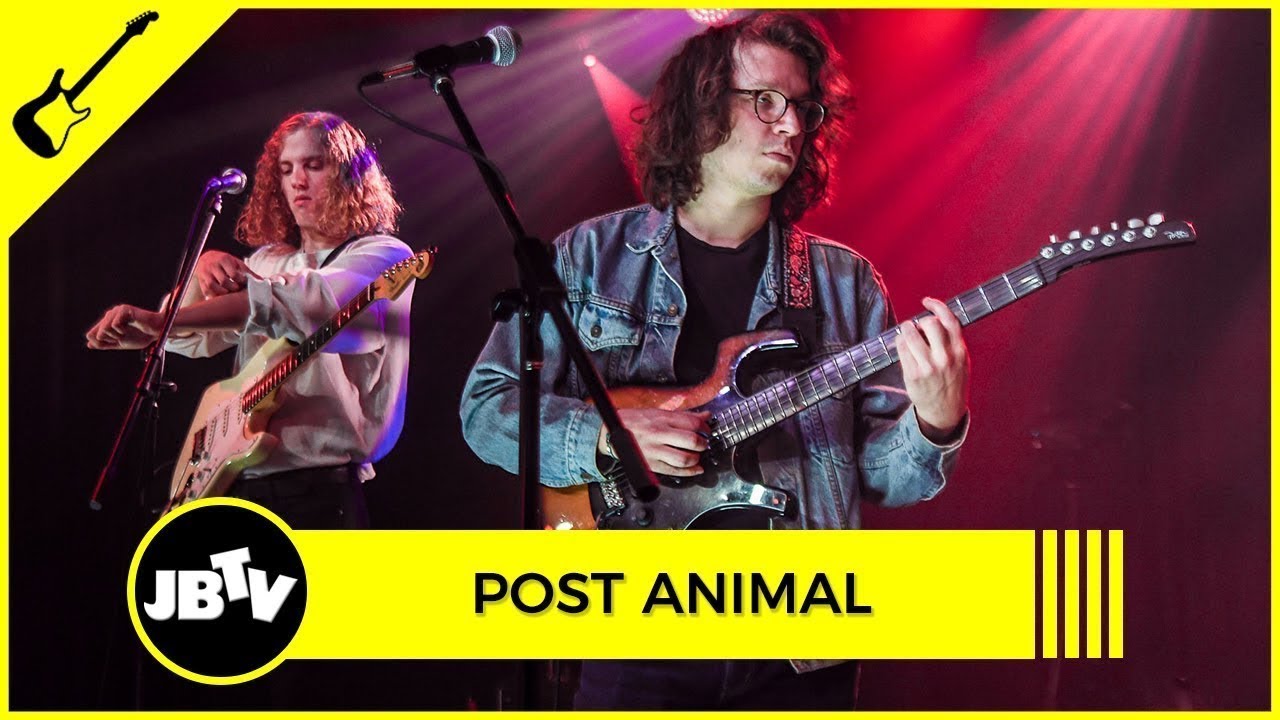 Post Animal - Dirtpicker | Live @ JBTV
