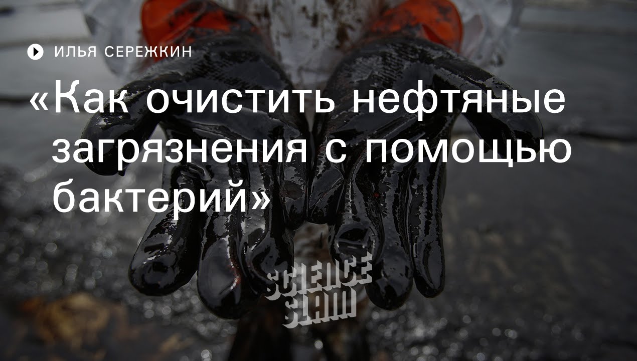 Как очистить нефтяные загрязнения с помощью бактерий?