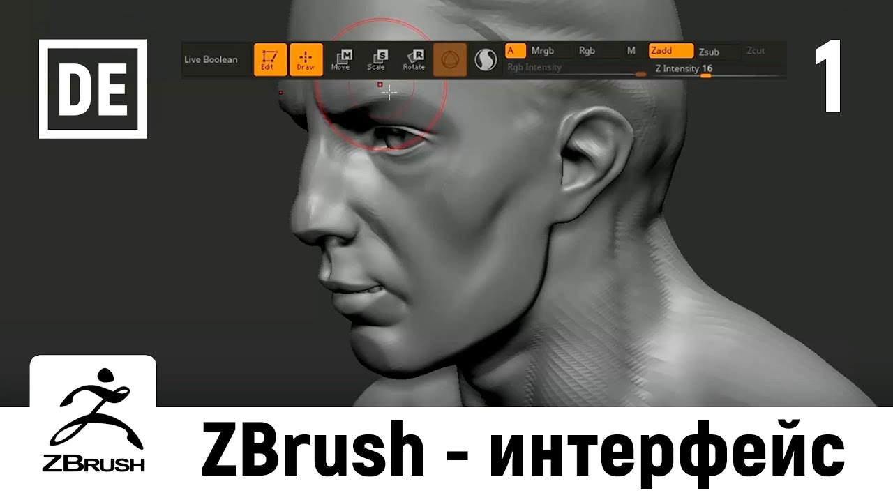 ZBrush 2020. Интерфейс программы. Урок 1