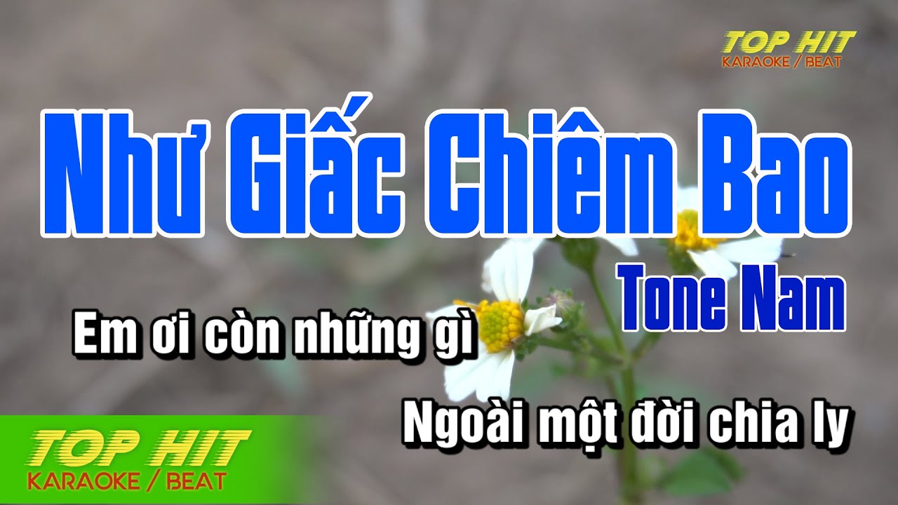 Như Giấc Chiêm Bao Karaoke Tone Nam Nhạc Sống | TOP HIT KARAOKE