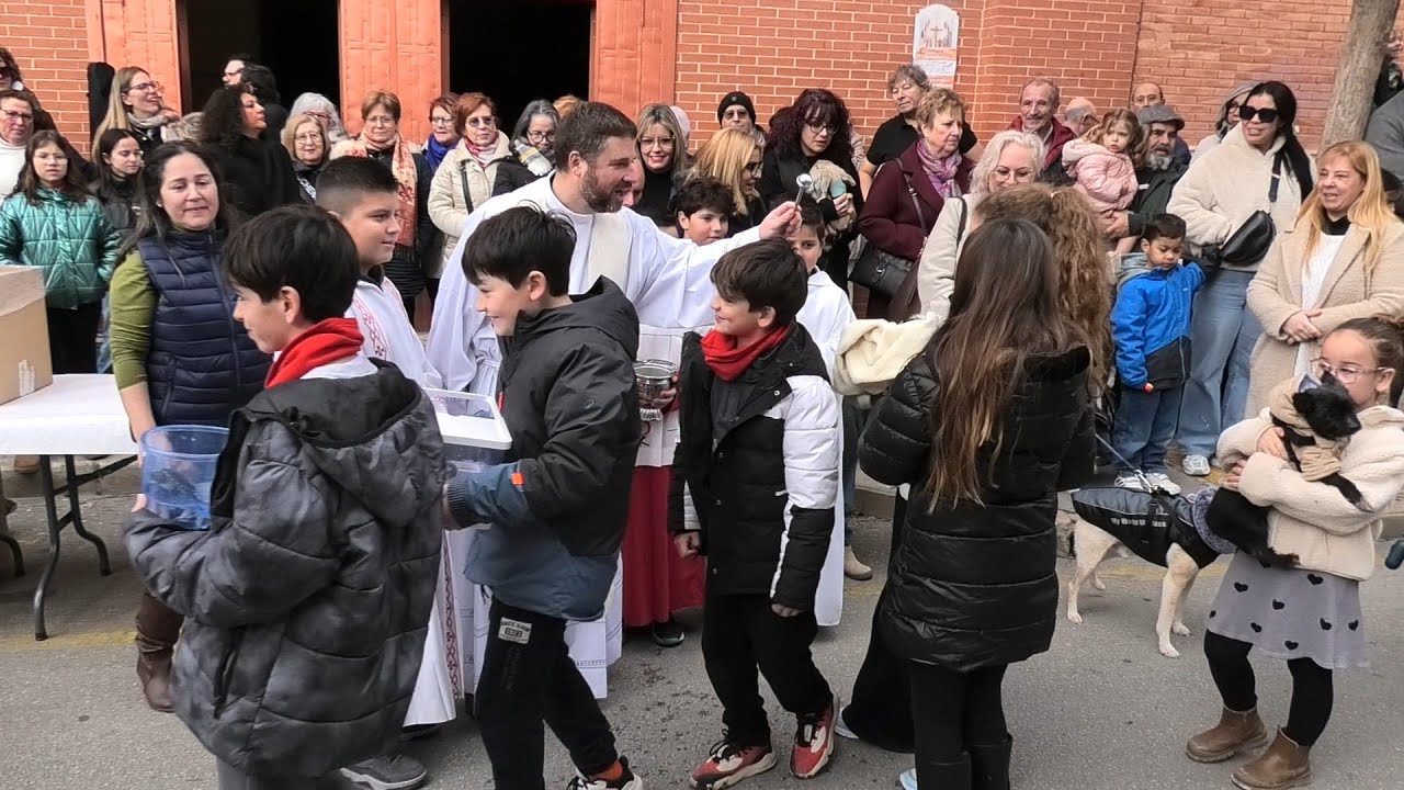 Romeria de Sant Antoni i el porquet  PETRER2026
