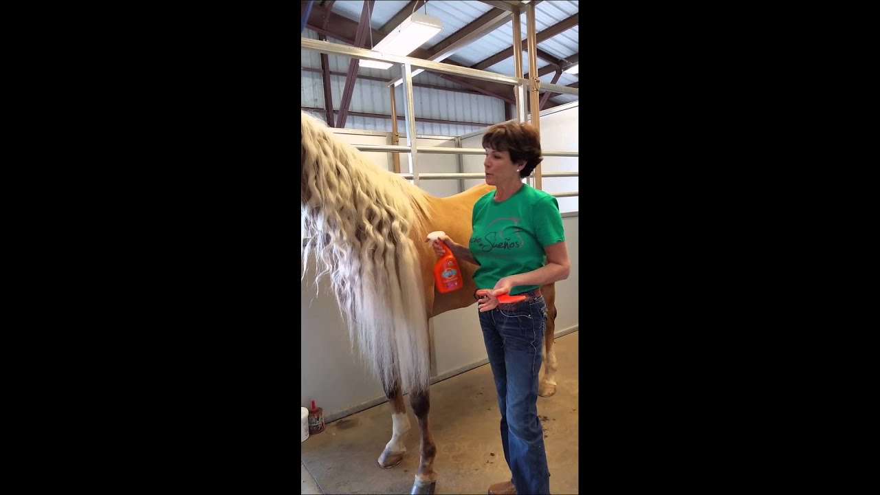 SHOW ME THE BUCKLES mane care video.