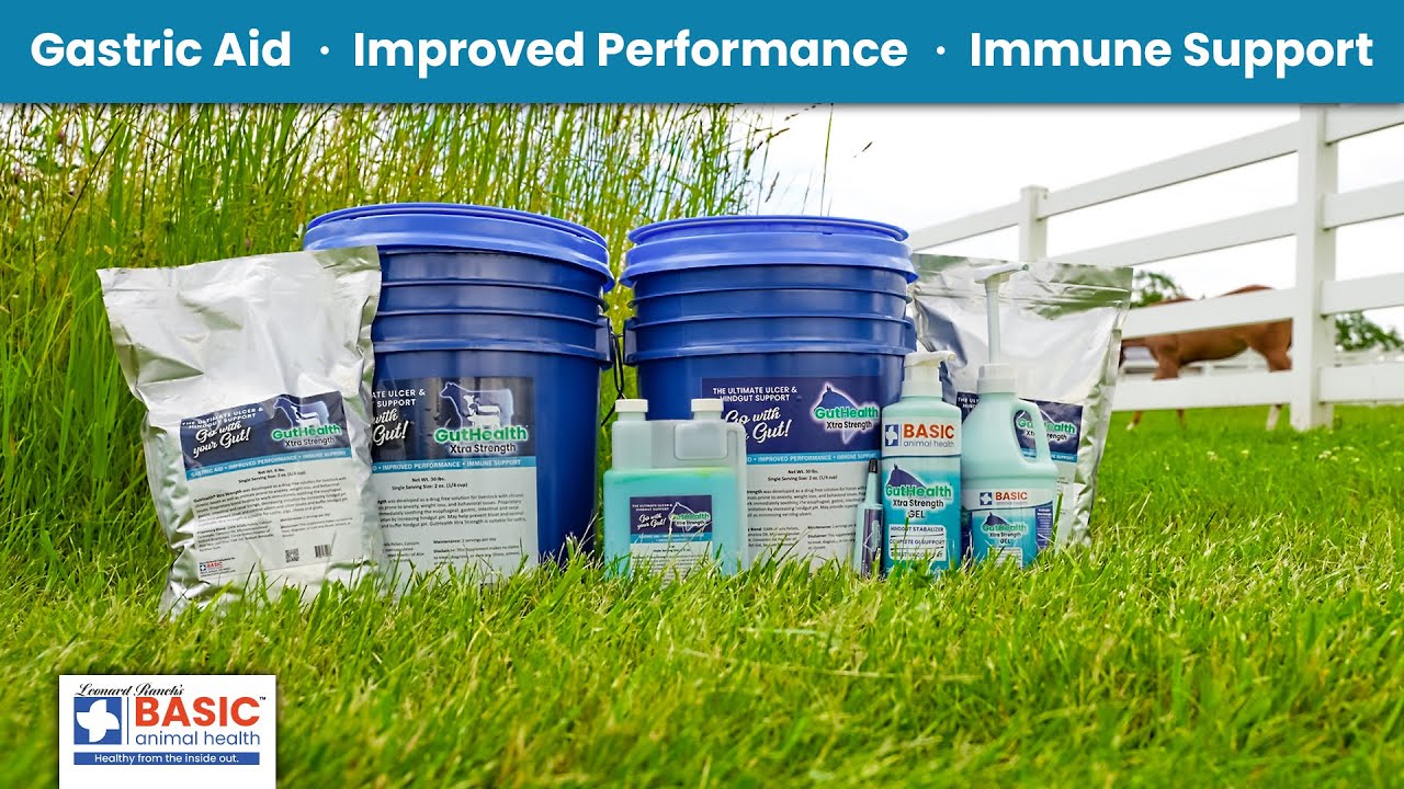 Hindgut Stabilizer for your Horse - GutHealth Xtra Strength