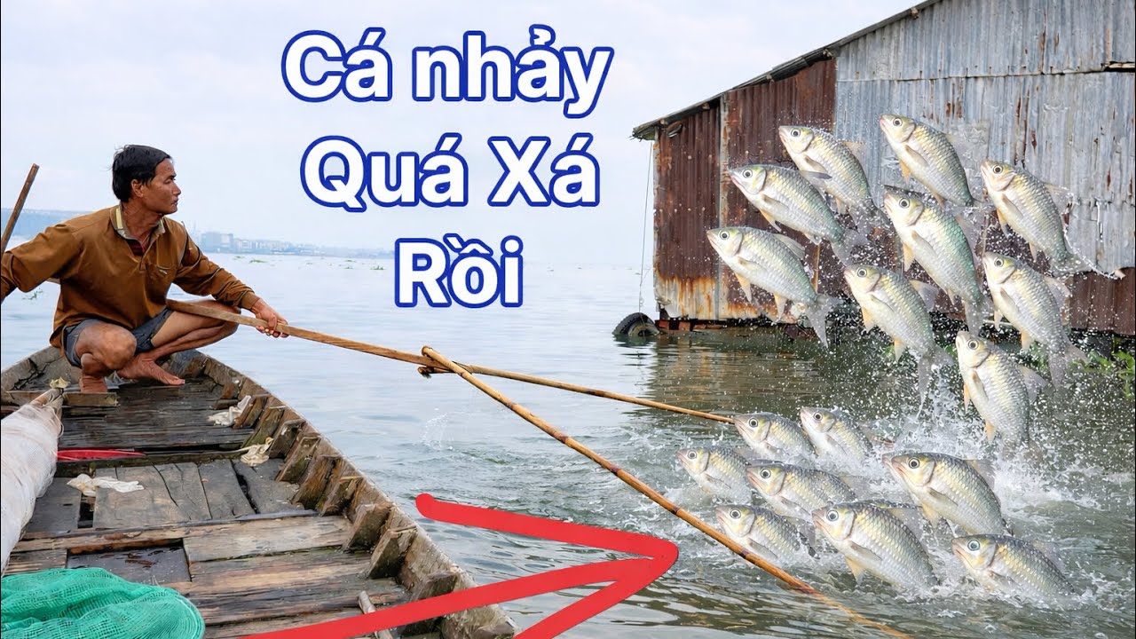 Trúng Ổ Cá Quá Lớn Đầy Xuồng Luôn Rồi..!