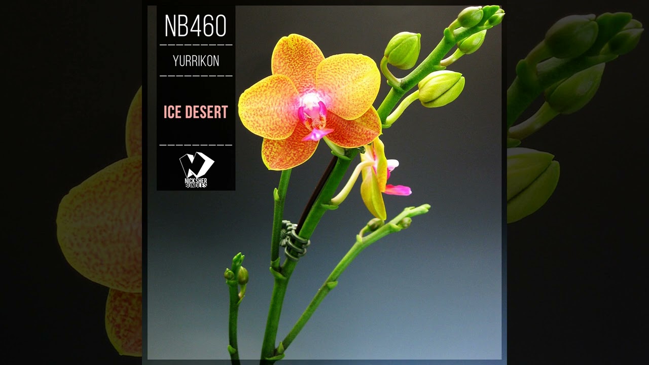 Yurrikon - Ice Desert [Chillout Realese] 2026