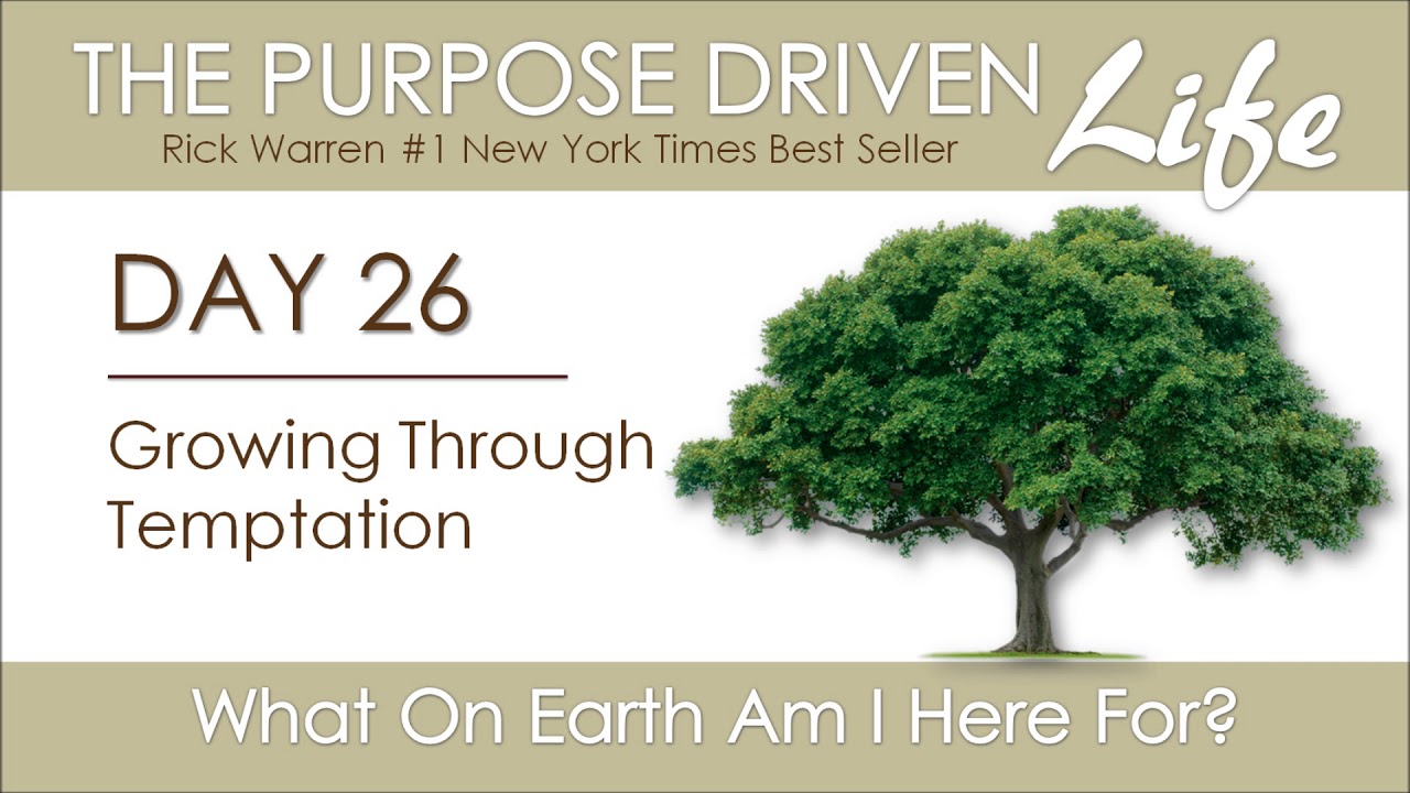 Purpose Driven Life | Day 26