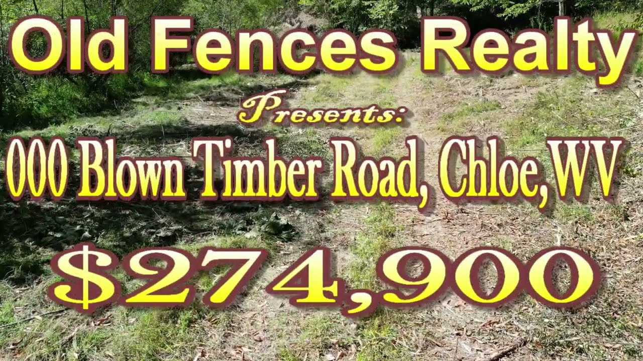 000 Blown Timber Road, Chloe, WV (252.89 +/- Acres) $274,900.00