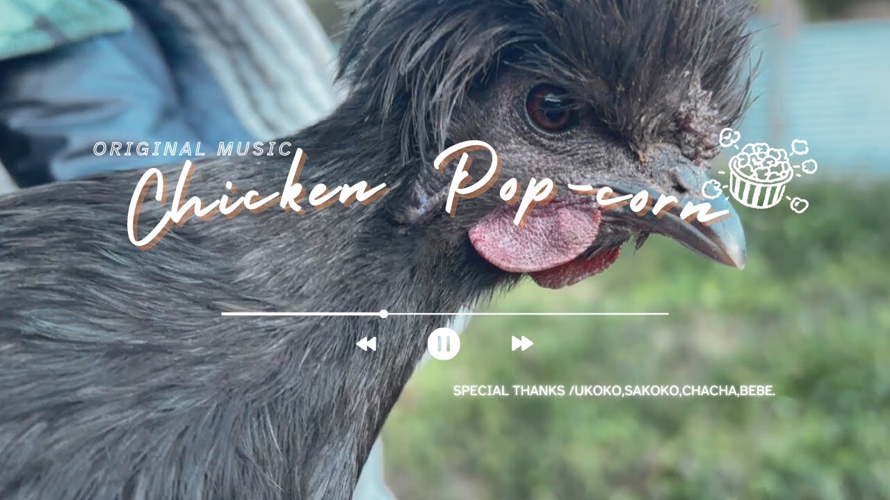 Chicken Pop-corn🍿（Official Music Video）-feat.cocco