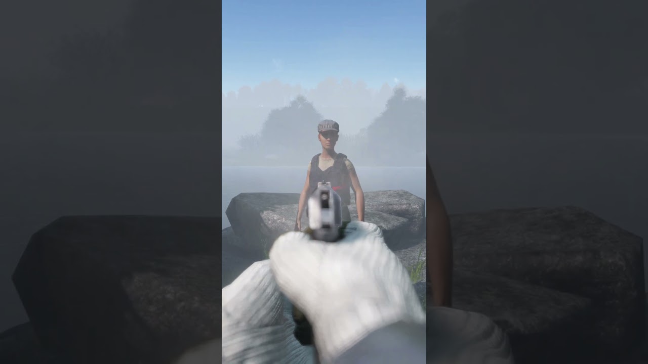 DayZ - Сколько выстрелов надо с Пистолета Макаров ( Иж - 70 ) #dayz #дейз #voltex