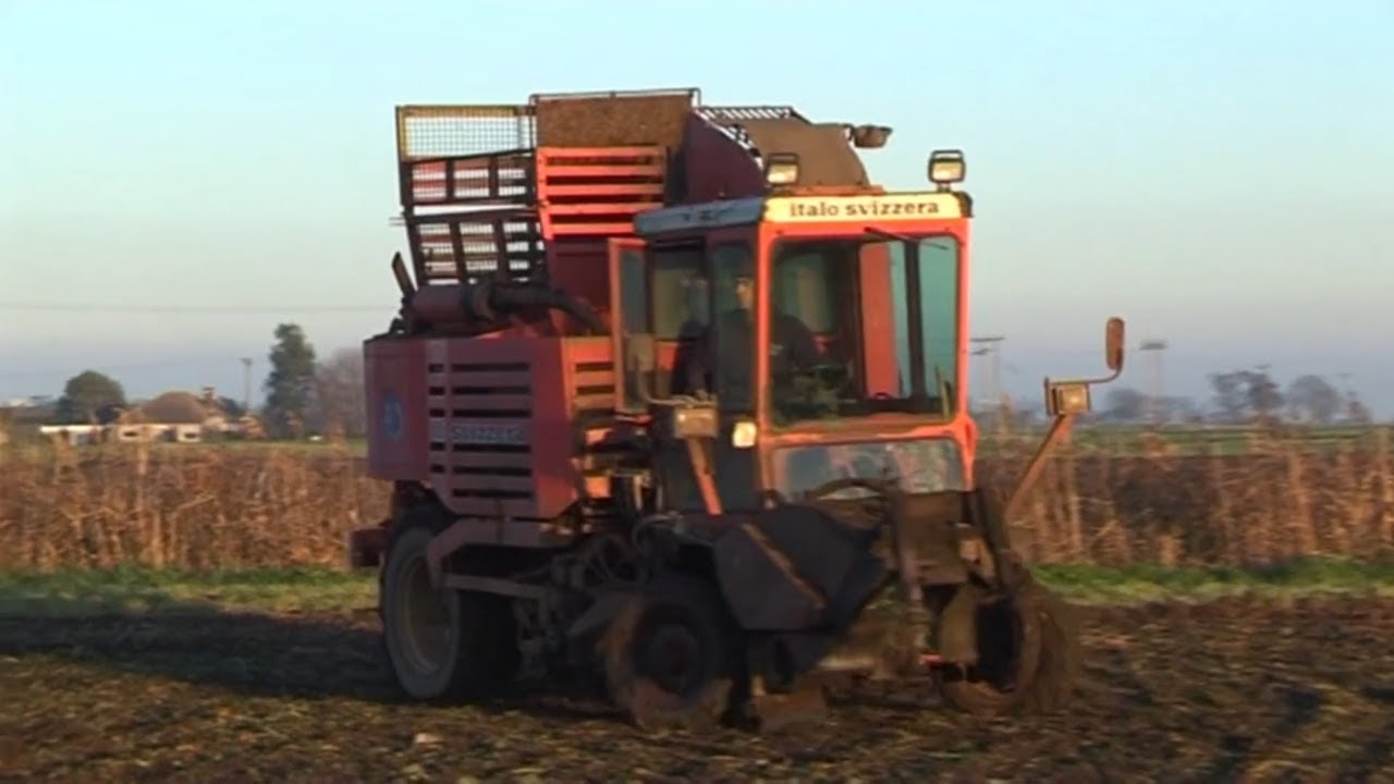 Our Classic Sugar Beet Harvester - Italo Svizzera HM190id