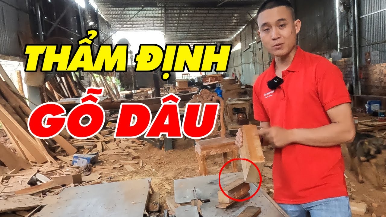 Bạn có muốn thành chuyên gia thẩm định gỗ | Sơn Sập Gỗ